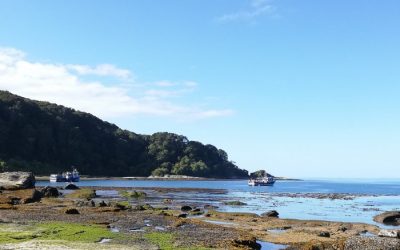 Avanza proceso para establecer la Isla de Guafo en un Espacio Costero Marino de Pueblos Originarios