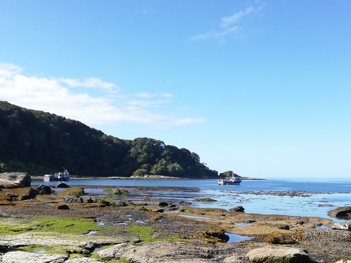 Avanza proceso para establecer la Isla de Guafo en un Espacio Costero Marino de Pueblos Originarios
