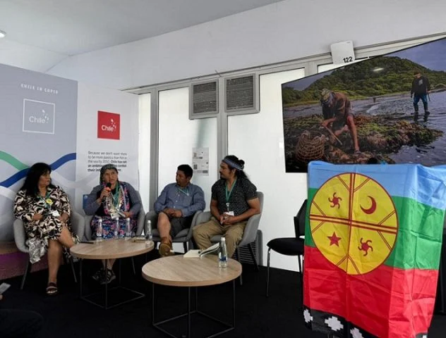Pueblos originarios denuncian discriminación del Estado de Chile en la aplicación de ley lafkenche en la Conferencia de las Partes de Biodiversidad (COP 16)
