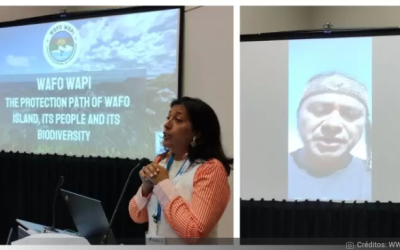 Idea de proteger Isla Guafo llega al congreso más importante del mundo sobre cuidado del océano