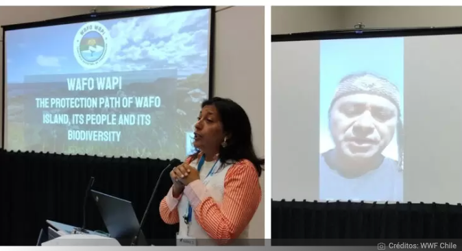 Idea de proteger Isla Guafo llega al congreso más importante del mundo sobre cuidado del océano