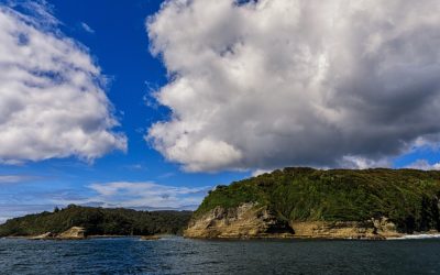 Comunidades Wafo Wapi, pescadores de Quellón y WWF Chile: decretar ECMPO es el primer paso para resguardar isla Guafo