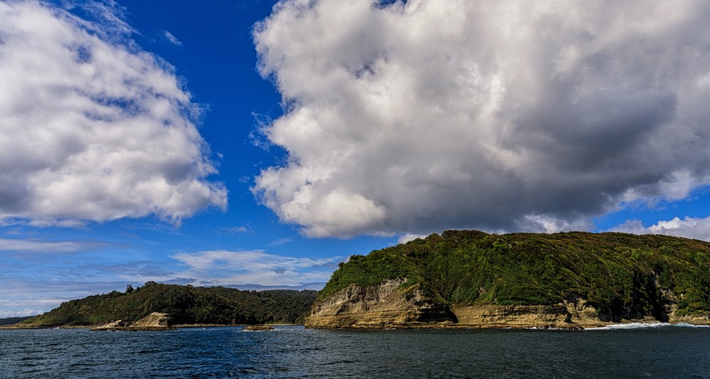 Comunidades Wafo Wapi, pescadores de Quellón y WWF Chile: decretar ECMPO es el primer paso para resguardar isla Guafo