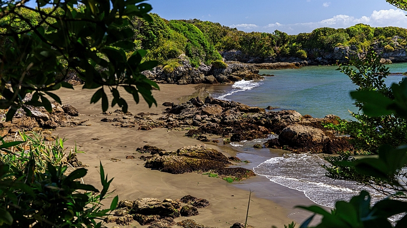 Avanza solicitud para que comunidades administren espacio marino en Isla Guafo