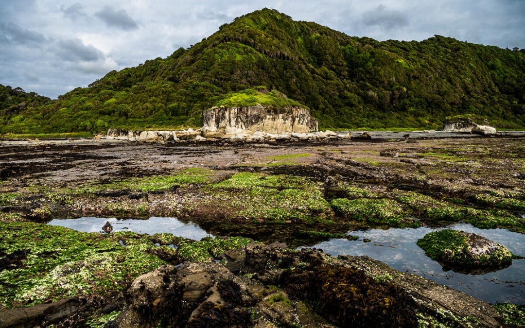 Avanza proceso participativo para ECMPO en isla Guafo
